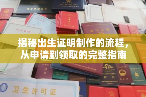 让胡路揭秘出生证明制作的流程，从申请到领取的完整指南